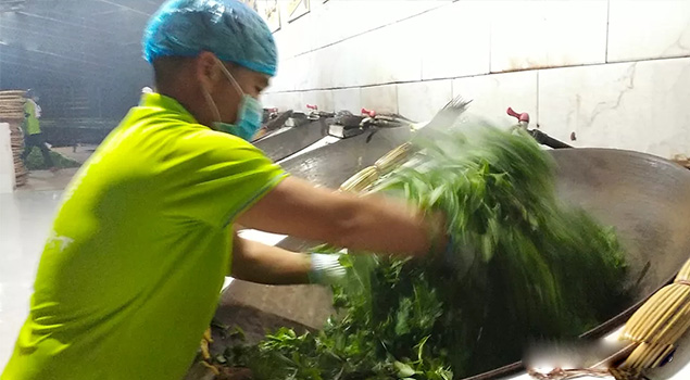 電氣化制茶成主流，蒸汽發生器讓制茶無煙化，實現零排放的環保目標